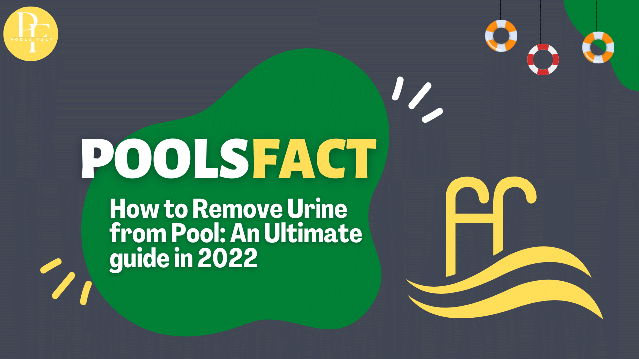 How to Remove Urine from Pool: An Ultimate Guide in 2022